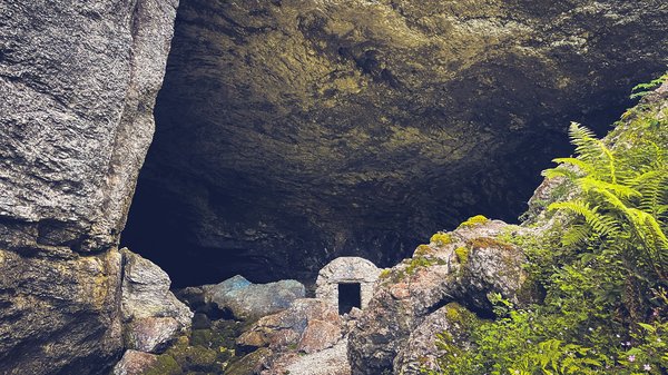 Comment organiser une visite des grottes de Waitomo en Nouvelle-Zélande?